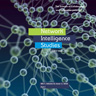 Network Intelligence Studies 7